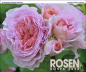 Preview: ROSEN KALENDER